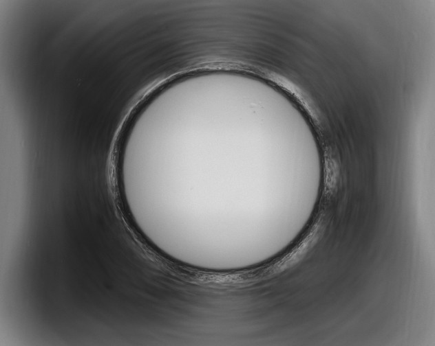 X0000098161074200804171213