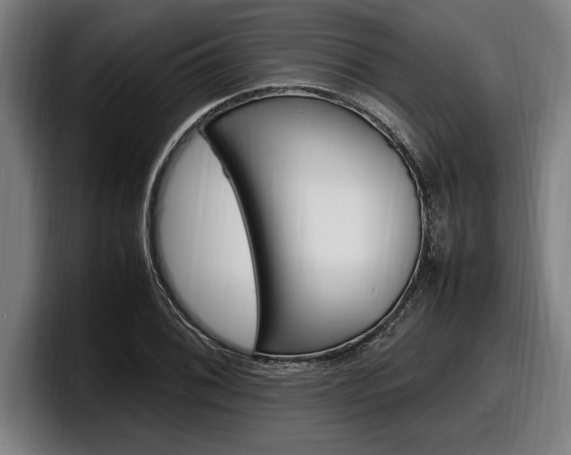 X0000098161076200804171212