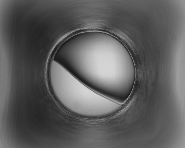 X0000098161077200804171212