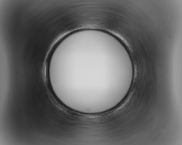 X0000098161078200804171212