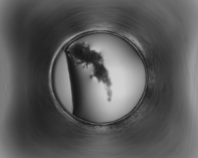 X0000098161080200804171212