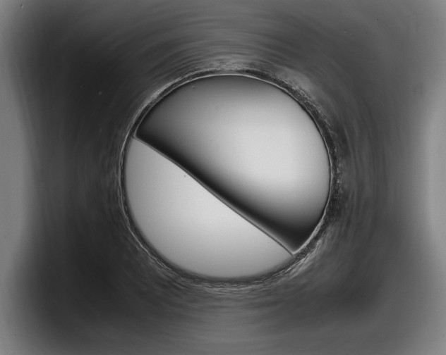 X0000098161081200804171212