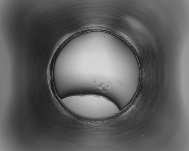 X0000098161082200804171212