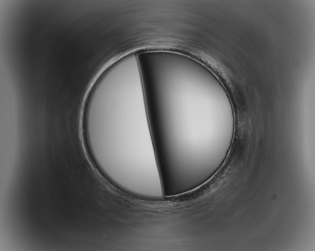 X0000098161085200804171212