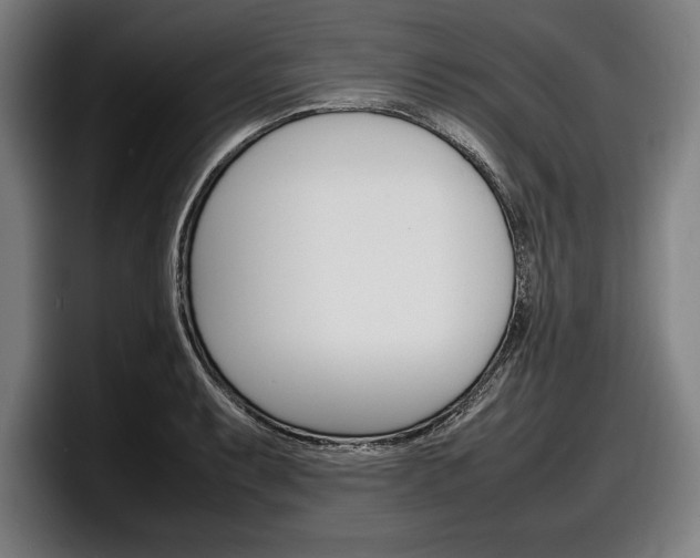 X0000098161087200804171212