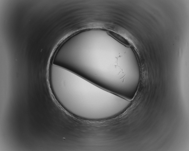 X0000098161088200804171212