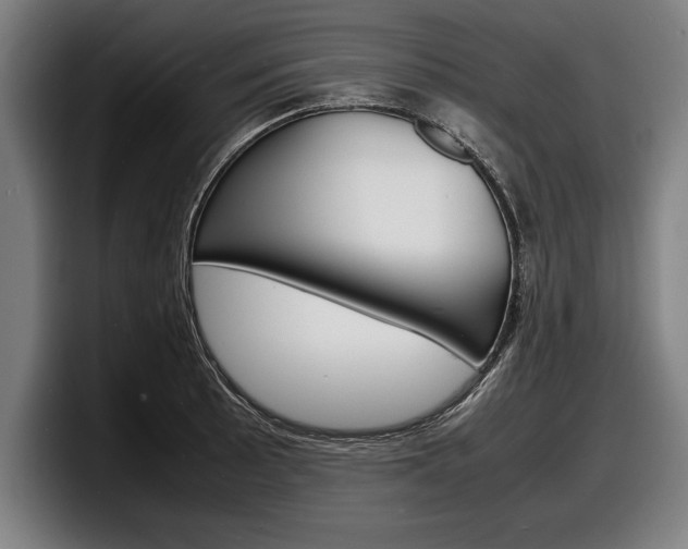 X0000098161089200804171212