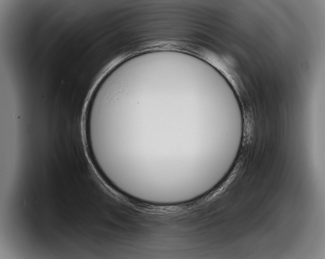 X0000098161090200804171212