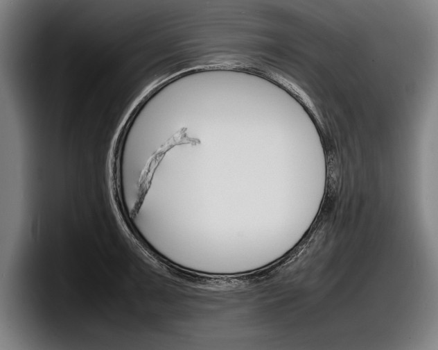 X0000098161091200804171212