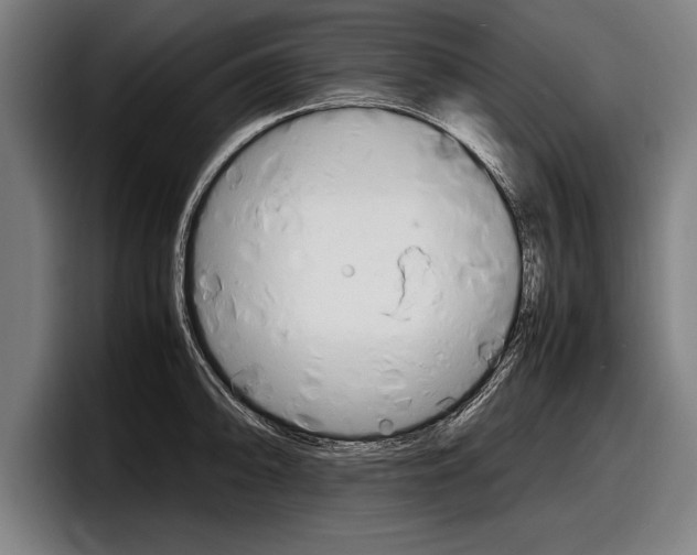 X0000098161094200804171212