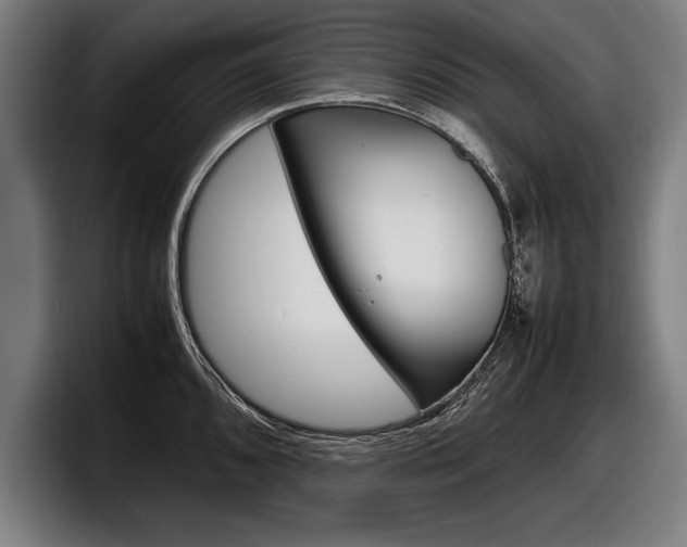 X0000098161096200804171212