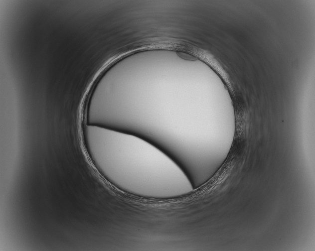 X0000098161099200804171212