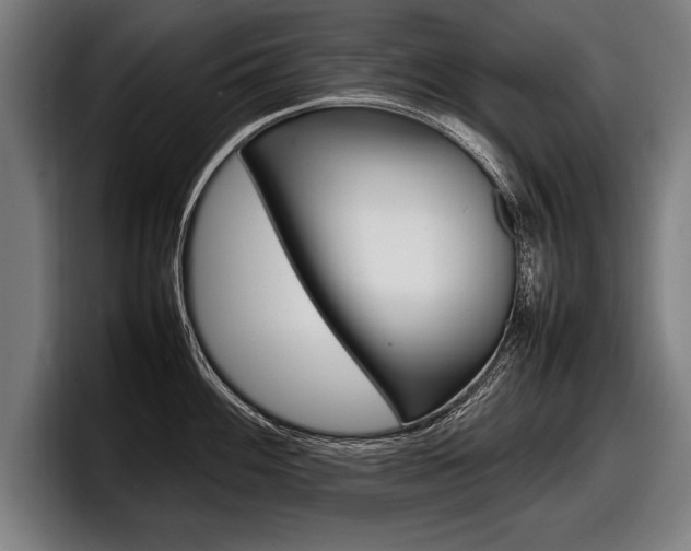 X0000098161100200804171212