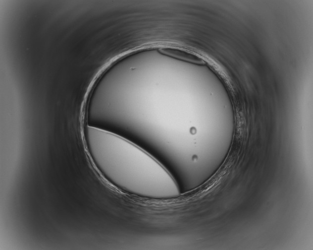 X0000098161102200804171212