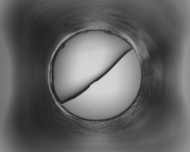 X0000098161103200804171212