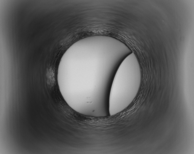 X0000098161106200804171211