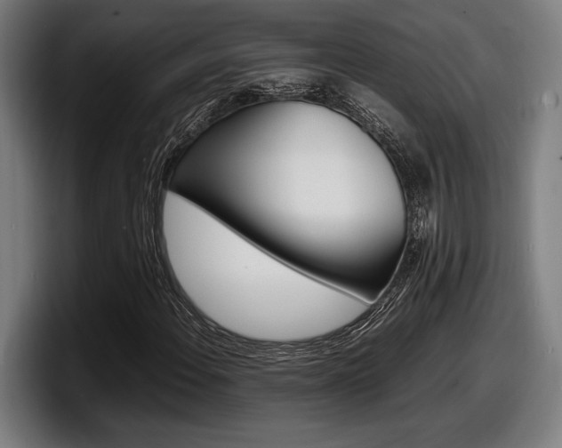 X0000098161108200804171211