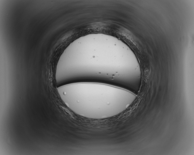X0000098161111200804171211