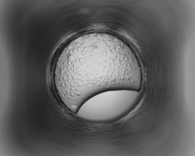 X0000098161117200804171212