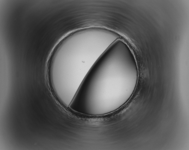 X0000098161118200804171212