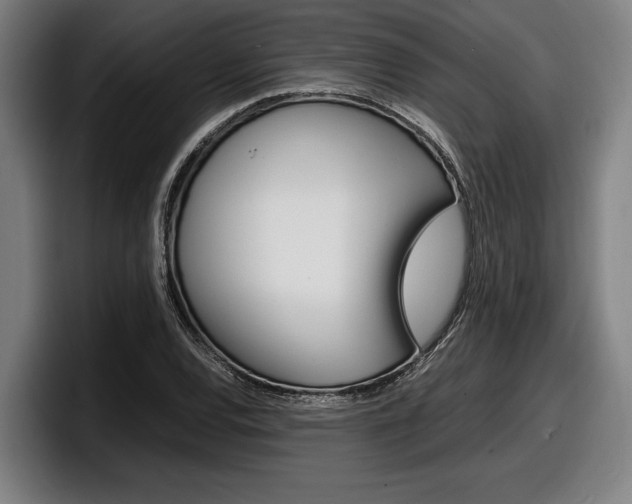 X0000098161120200804171212