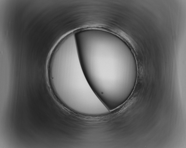 X0000098161124200804171212