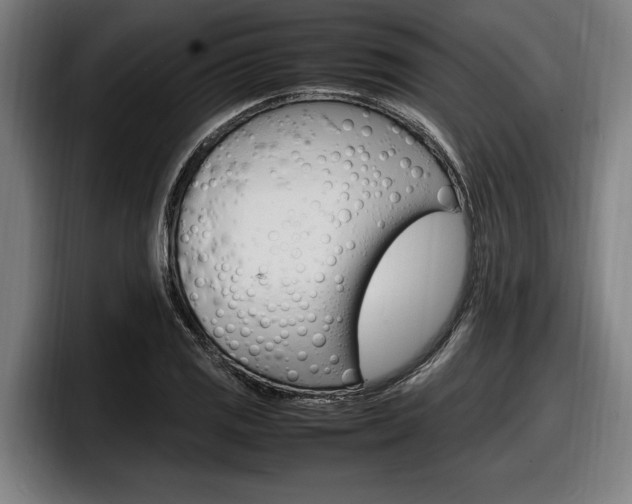 X0000098161125200804171212