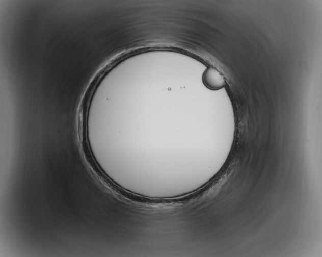 X0000098161126200804171212