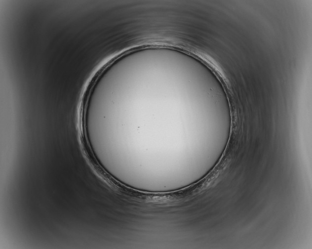 X0000098161128200804171212