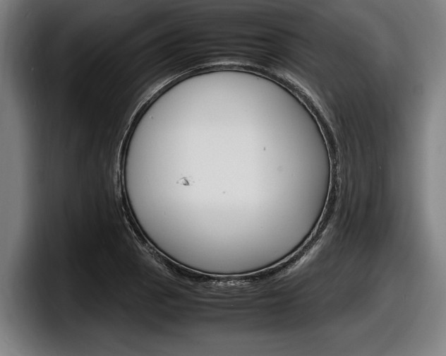 X0000098161129200804171212