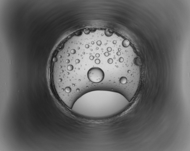X0000098161130200804171212