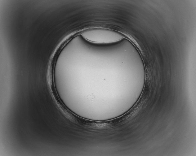 X0000098161131200804171212