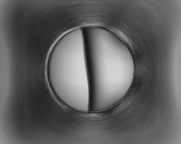 X0000098161132200804171212