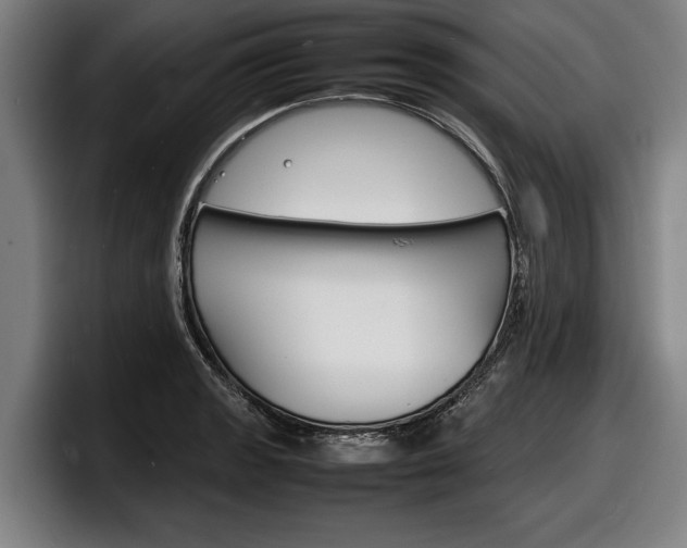 X0000098161133200804171212