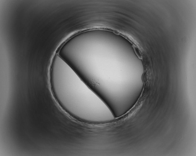 X0000098161134200804171212