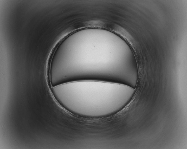 X0000098161135200804171212