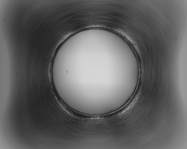 X0000098161137200804171212