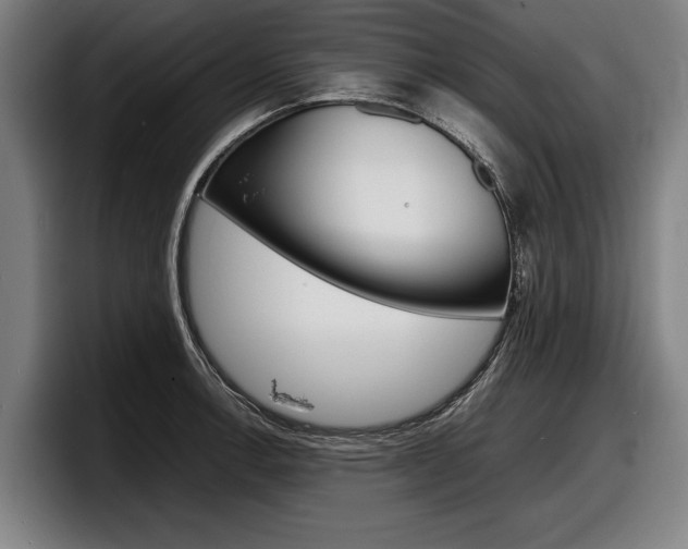 X0000098161138200804171212