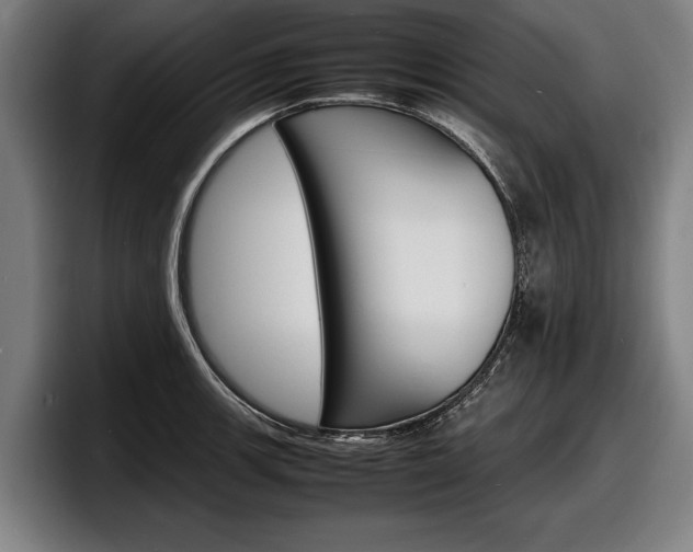X0000098161139200804171212