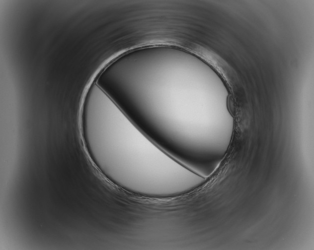 X0000098161140200804171212