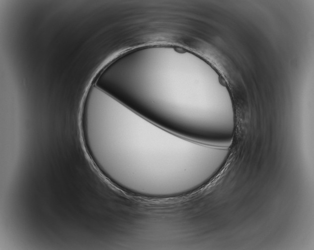 X0000098161142200804171212