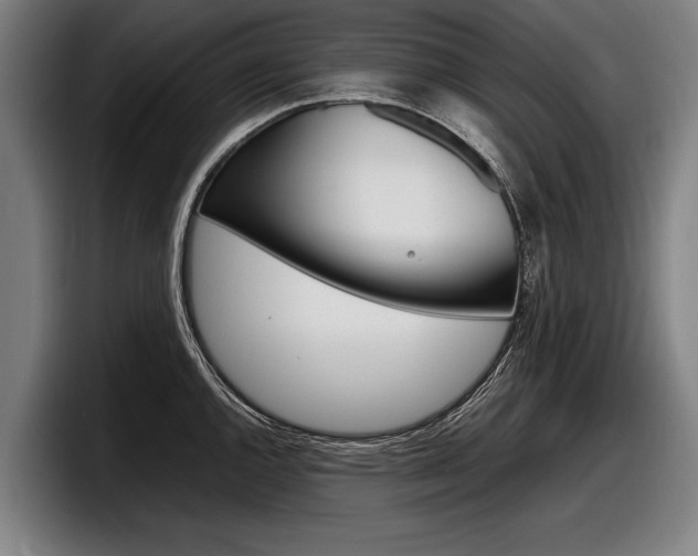 X0000098161144200804171212