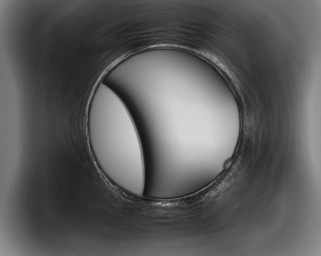 X0000098161145200804171212