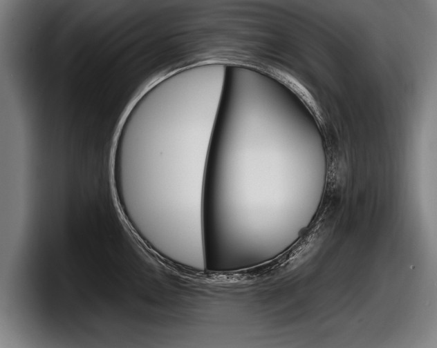 X0000098161146200804171212