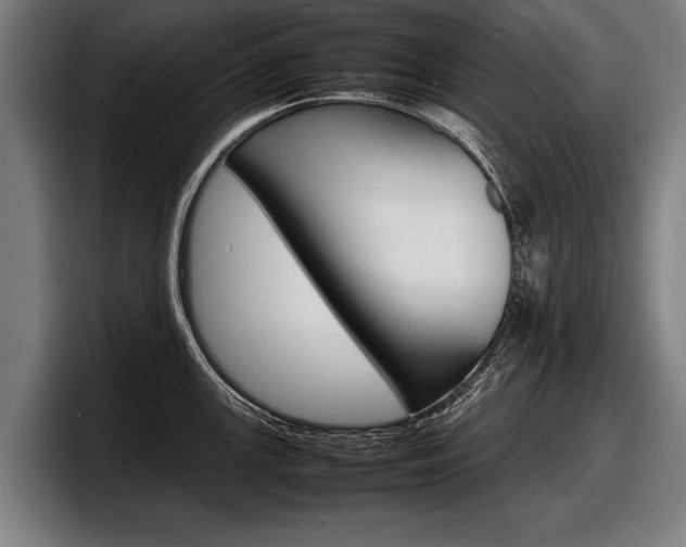 X0000098161147200804171212
