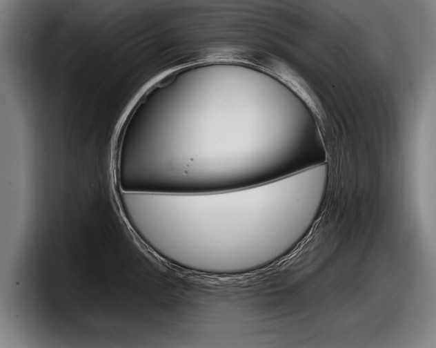 X0000098161148200804171212