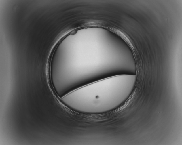 X0000098161149200804171212