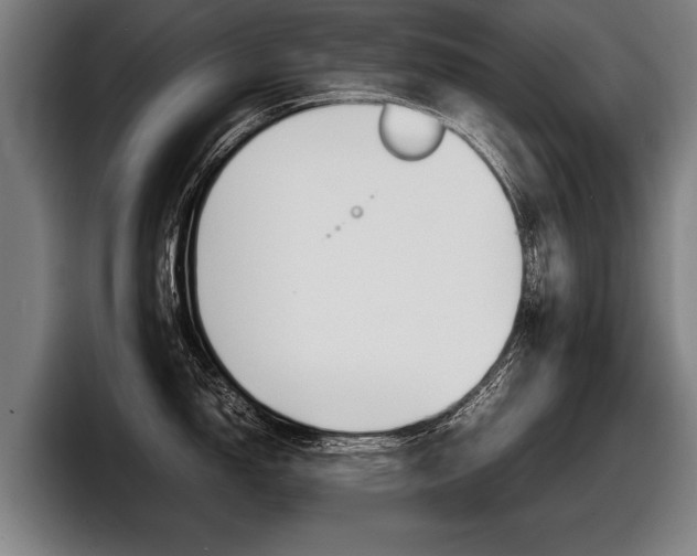 X0000098161150200804171212