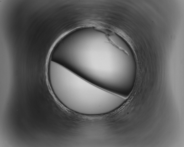 X0000098161152200804171212