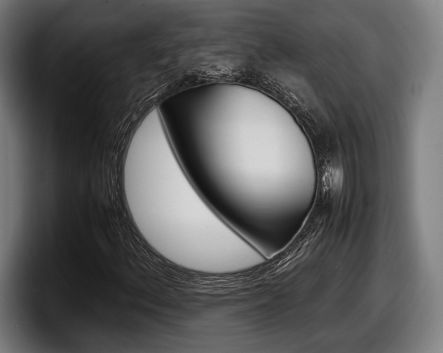 X0000098161156200804171211